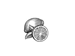 lemon icon